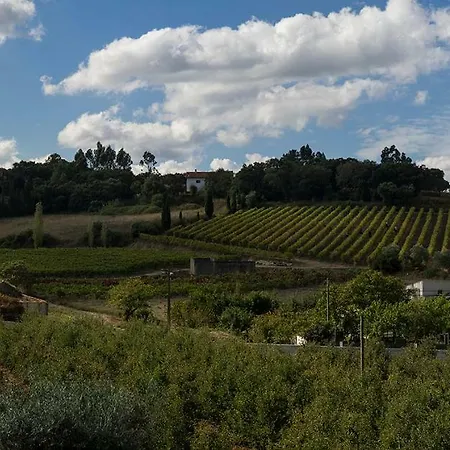 Quinta Boa Vida 1 度假居 Carrascal (Leiria)