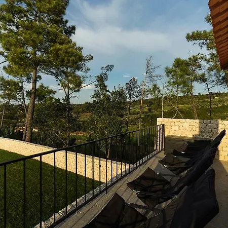 Quinta Boa Vida 1 Holiday home Carrascal (Leiria)